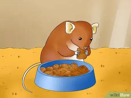 Image titled Give a Mouse or Other Small Rodent Oral Medication Step 4