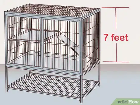 Image titled Care for Abyssinian Guinea Pigs Step 1
