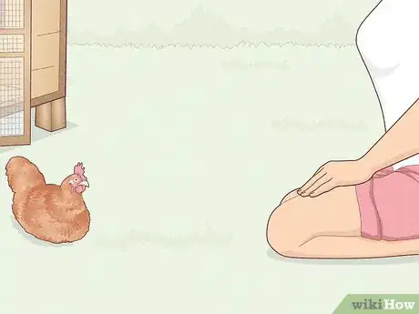 Image titled Earn Your Chicken's Trust Step 7