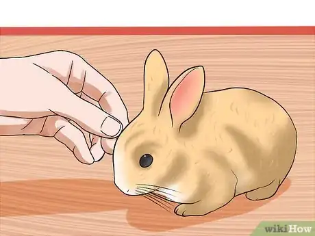 Image titled Tame Your Rabbit Step 17