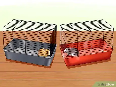 Image titled Get Hamsters to Stop Fighting Step 3