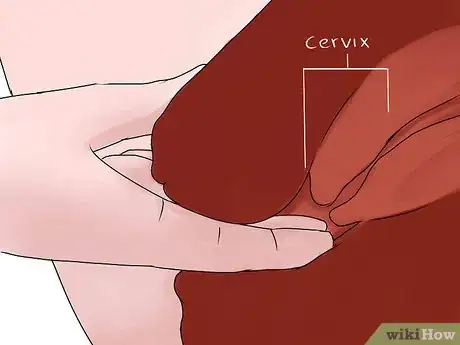 Image titled Feel Your Cervix Step 4