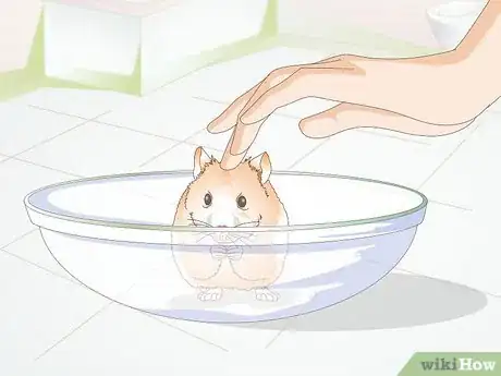 Image titled Potty Train a Hamster Step 2