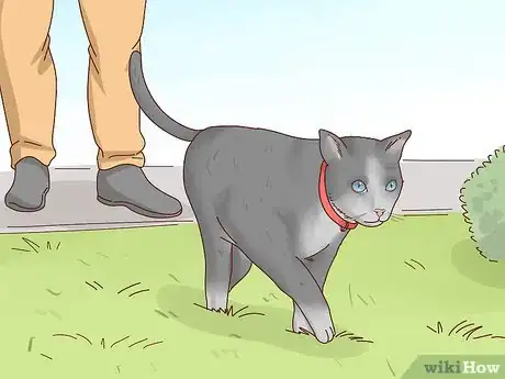Image titled Make Your Cat Happy Step 9