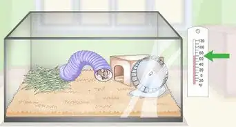 Use an Aquarium As a Mouse Cage