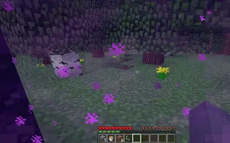 Image titled 17_Nether1.png