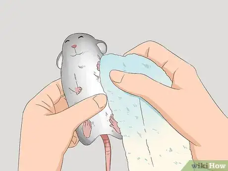 Image titled Clean a Smelly Mouse Step 2