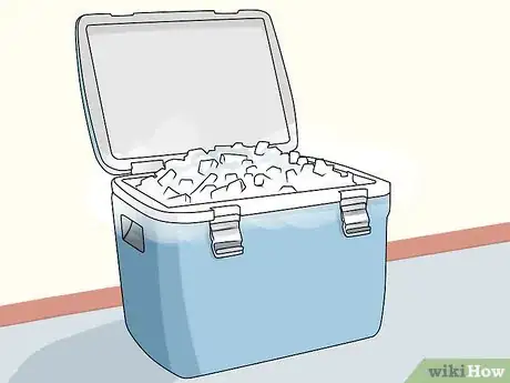 Image titled Use Dry Ice Step 1