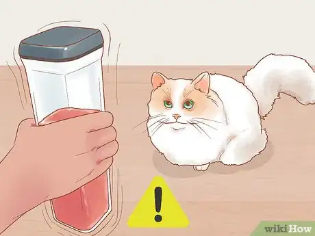 Image titled Stop Your Cat from Begging Step 5