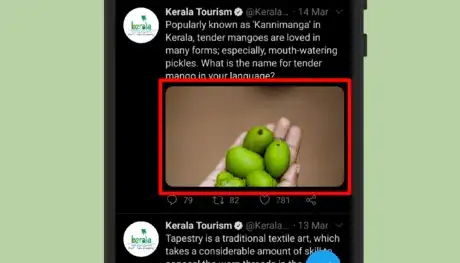 Image titled Kerala Tourism on Twitter.png