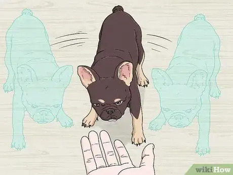 Image titled Identify a French Bulldog Step 10