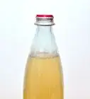 Ferment Apple Juice