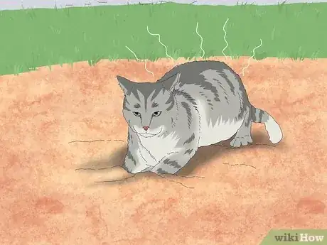 Image titled Why Do Cats Roll in Dirt Step 6