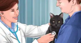Treat a Poisoned Cat