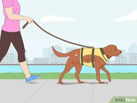 Image titled Remove a Tumor on a Dog at Home Step 12