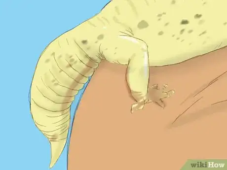 Image titled Care for a Wounded Leopard Gecko Step 3