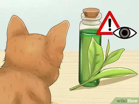 Image titled Calm Your Cat with Aromatherapy Step 8