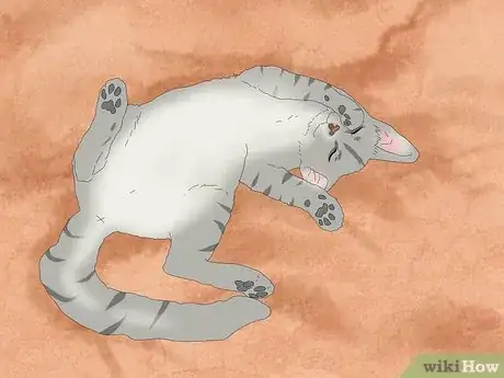 Image titled Why Do Cats Roll in Dirt Step 3