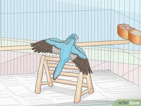 Image titled Choose a Cage for a Budgie Step 12