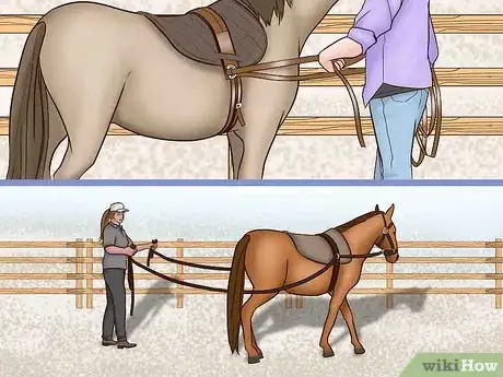 Image titled Train a Horse to Drive Step 3