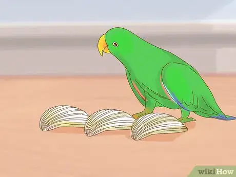 Image titled Play with a Large Parrot Step 3