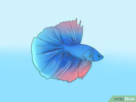 Image titled Grow a Bond With Your Betta Fish Step 1