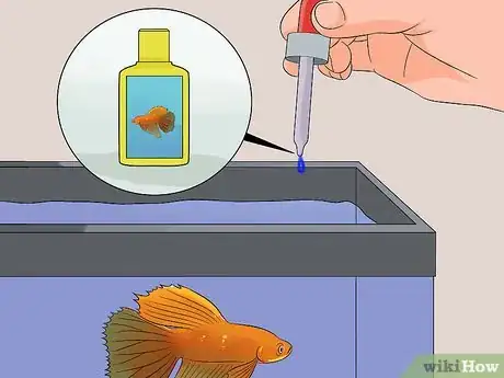 Image titled Save a Dying Betta Fish Step 32