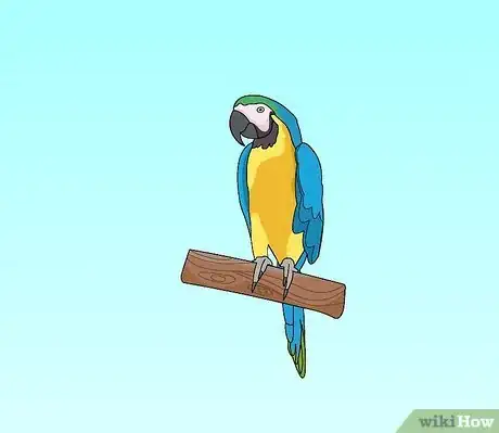 Image titled Draw a Parrot Step 15