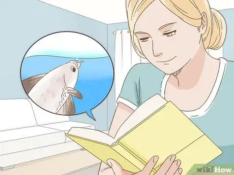 Image titled Grow a Bond With Your Betta Fish Step 5