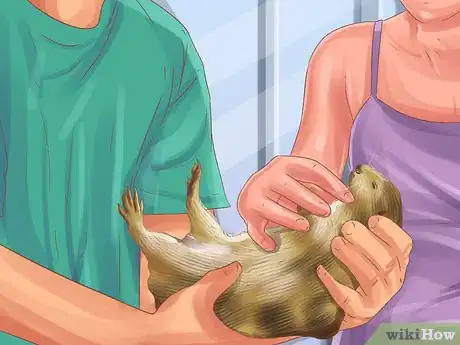 Image titled Buy Prairie Dogs Step 17