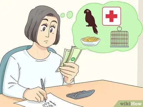 Image titled Choose a Caique Parrot Step 7