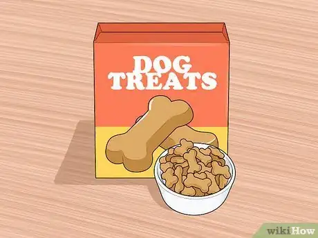 Image titled Prepare Your Household for a New Dog Step 9