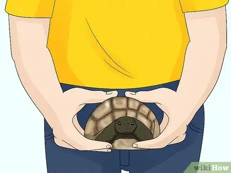 Image titled Handle a Tortoise Step 3