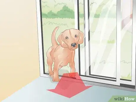 Image titled Air Condition Your Dog's House Step 4