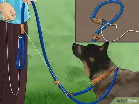 Image titled Improvise a Dog Lead Step 2