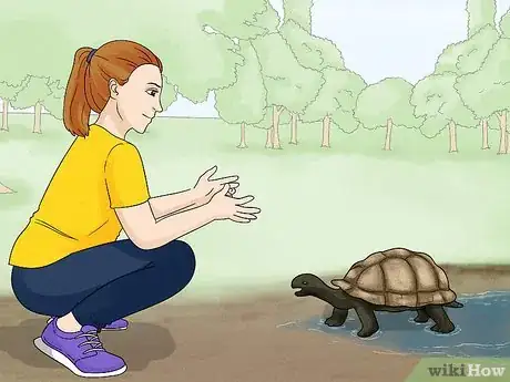 Image titled Handle a Tortoise Step 1