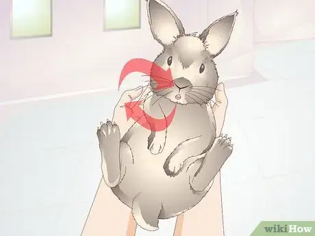 Image titled Diagnose Heat Stroke in Rabbits Step 2
