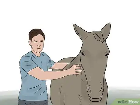 Image titled Sell a Horse Quickly Step 8