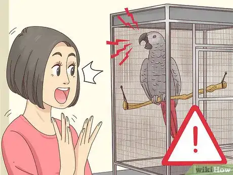 Image titled Choose an African Grey Parrot Step 2
