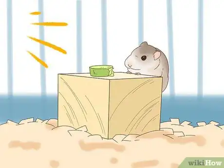 Image titled Train a Dwarf Hamster to Recognize Its Name Step 13