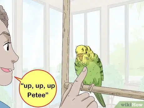 Image titled Hand Train a Parakeet Step 12