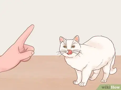 Image titled Stop Your Cat from Begging Step 7