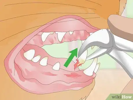Image titled Treat Your Cat's Dental Problems Step 7