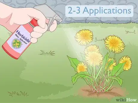 Image titled Get Rid of Dandelions in a Lawn Step 11