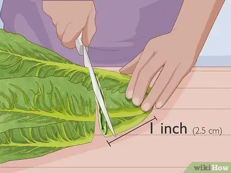 Image titled Grow Romaine Lettuce Step 6