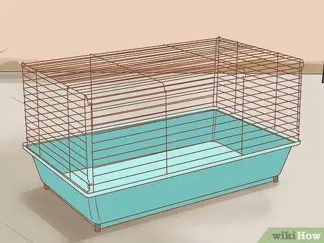 Image titled Care for Syrian Hamsters Step 1