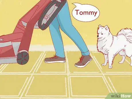 Image titled Teach Your Pet Not to be Scared of the Vacuum Cleaner Step 11