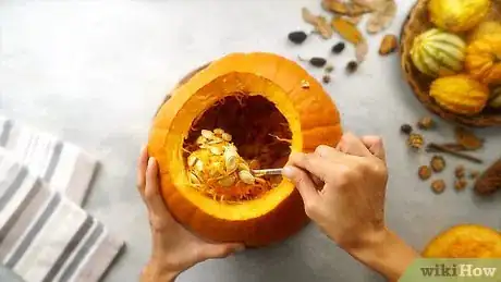 Image titled Make Pumpkin Pie Straight from the Pumpkin Step 1