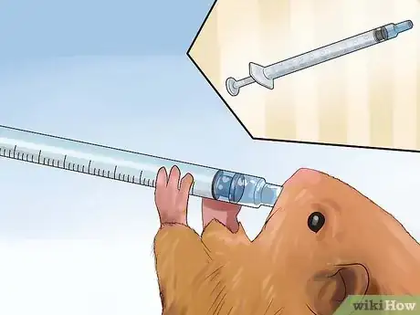Image titled Treat Your Sick Hamster Step 4