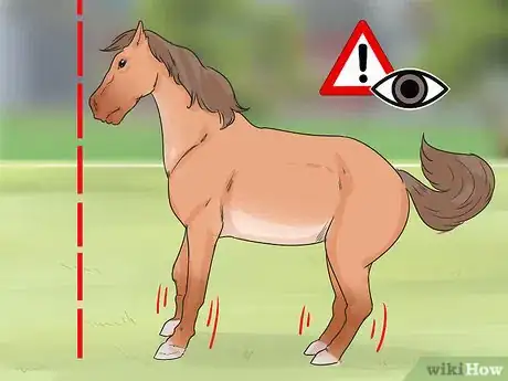 Image titled Ease Your Horse's Sore Hooves After Trimming Step 6